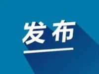 如何推进教育督导“长牙齿”？义务教育如何优质均衡发展？现场答问来了 | 教育发布 2020
